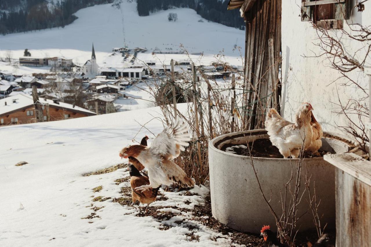 Apartment Wachinghof Reith bei Kitzbühel Zewnętrze zdjęcie